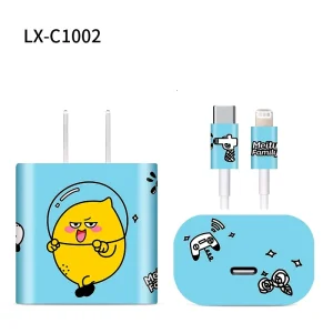 20chargerC1002.webp