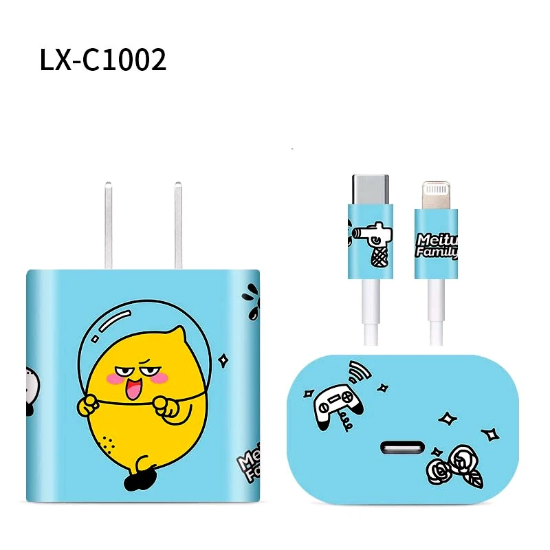 20chargerC1002.webp 20chargerC1002.webp