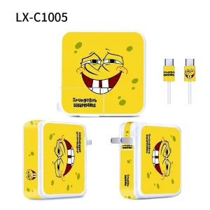 30chargerC1005.webp
