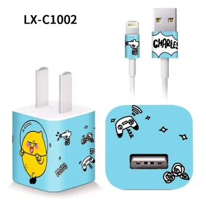 5chargerC1002.webp