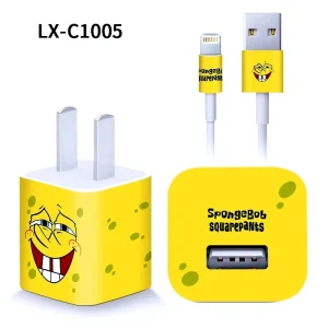5chargerC1005.webp