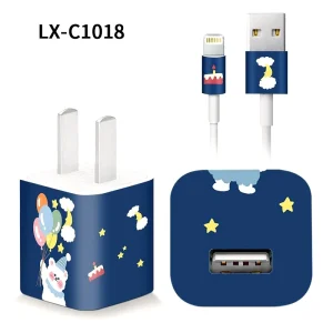5chargerC1018.webp