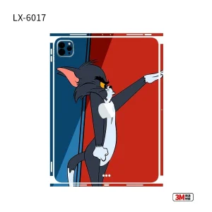IPAD6017.webp