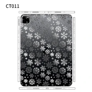 IPadCT011.webp