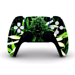 PS5controller0104.webp