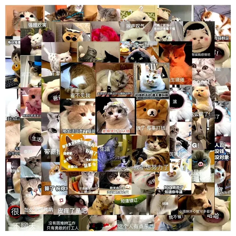 SKU11FE103 cat facec65pcs 1.webp SKU11FE103 cat facec65pcs 1.webp