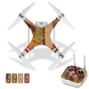 droneDJ30173.webp
