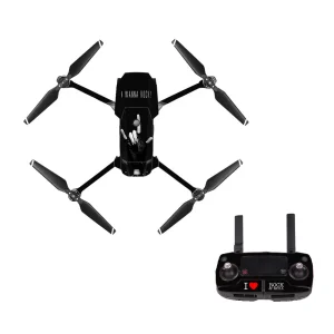 droneDJM0188.webp