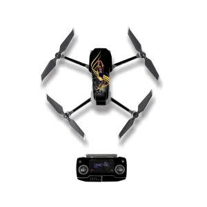 droneDJM20041.webp