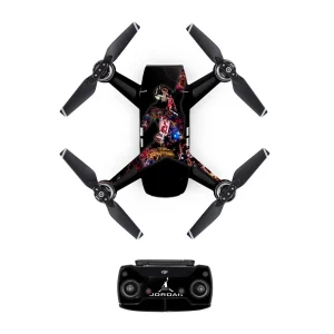 droneDJS0167.webp