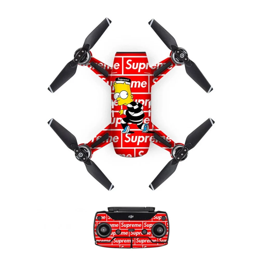 droneDJS0174.webp