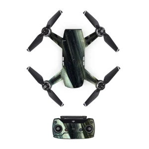 droneDJS0333.webp