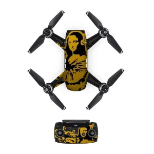 droneDJS0338.webp