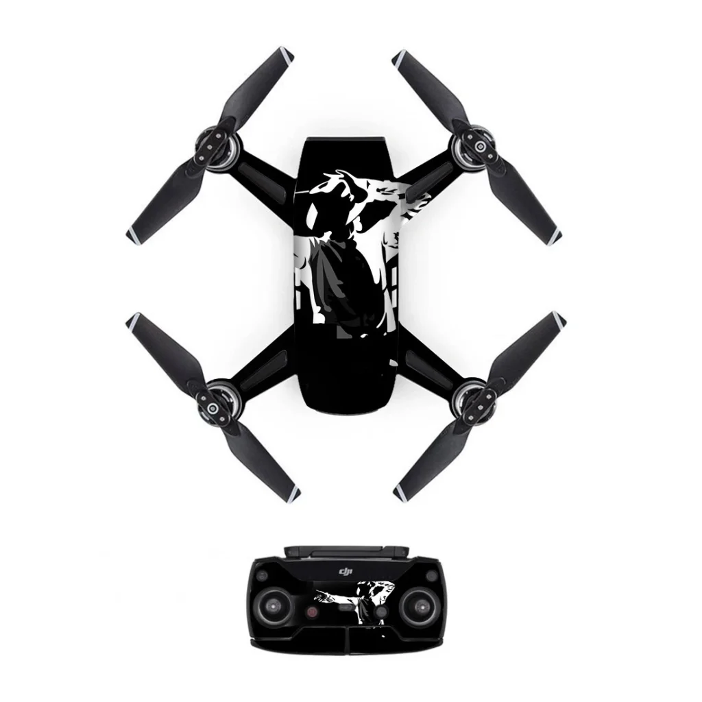 droneDJS0339.webp