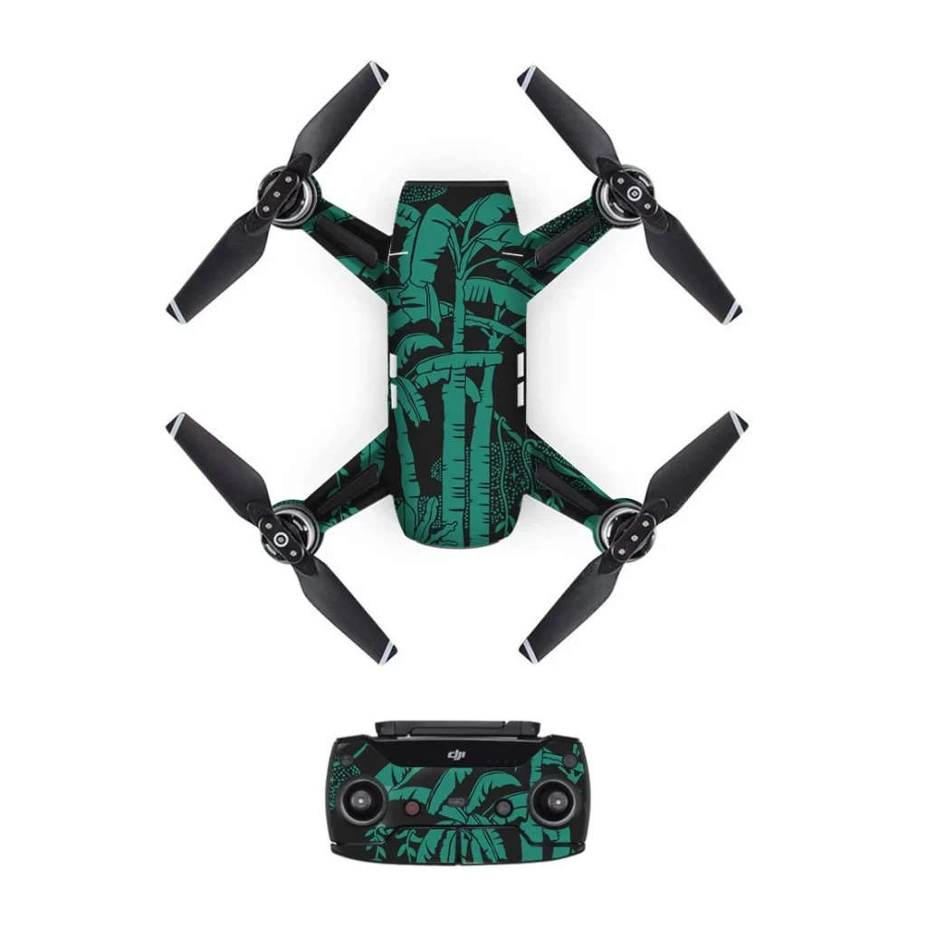 droneDJS0341.webp