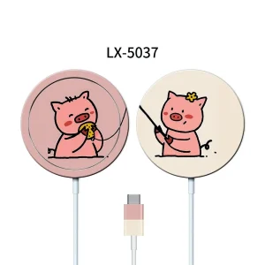 magsafe5037.webp