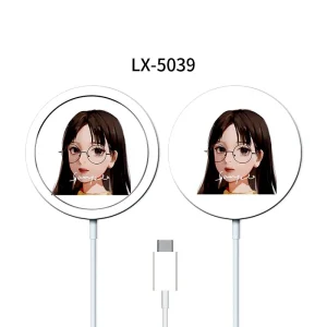 magsafe5039.webp