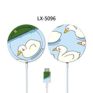 magsafe5096.webp