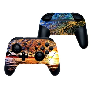 switchcontrollerNSP0174.webp