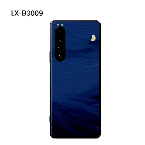 xperiaB3009.webp