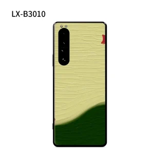 xperiaB3010.webp